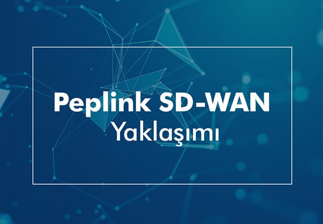 peplink sdwan