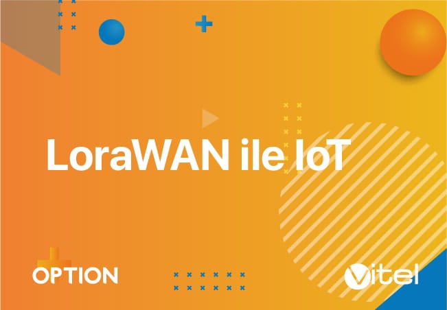 LoraWAN ile IoT1 görsel